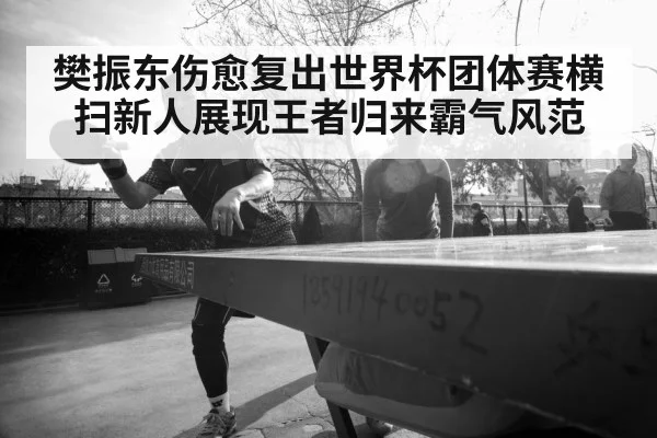 樊振东伤愈复出世界杯团体赛横扫新人展现王者归来霸气风范
